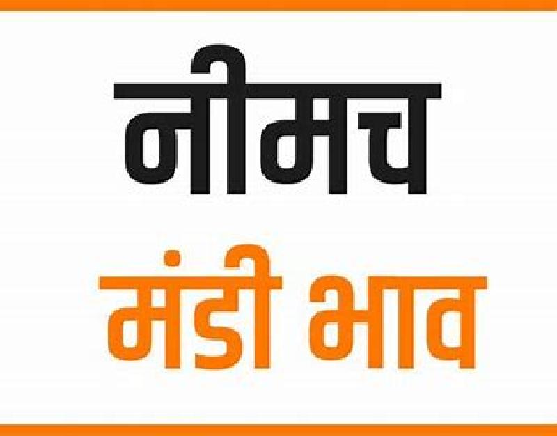 मंडी भाव